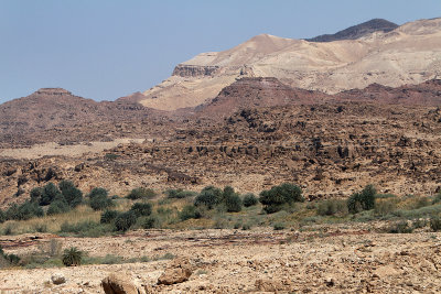 2980 Voyage en Jordanie - IMG_3514_DxO web2.jpg