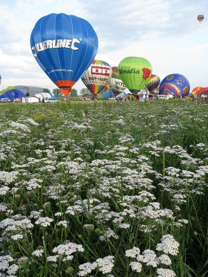 2616 Lorraine Mondial Air Ballons 2011 - IMG_8618_DxO Pbase.jpg