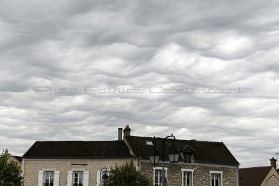 g4/09/515909/3/138154485.s67BcoHf.jpg