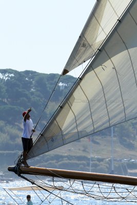 1110 Voiles de Saint-Tropez 2011 - IMG_3004_DxO format WEB.jpg