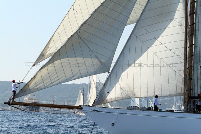 1113 Voiles de Saint-Tropez 2011 - IMG_3007_DxO format WEB.jpg