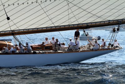 1118 Voiles de Saint-Tropez 2011 - IMG_3013_DxO format WEB.jpg