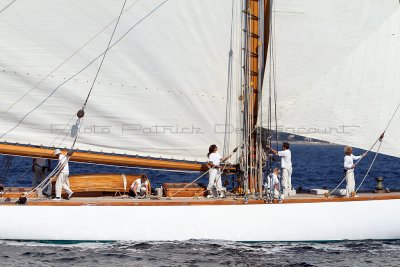 1130 Voiles de Saint-Tropez 2011 - IMG_3020_DxO format WEB.jpg