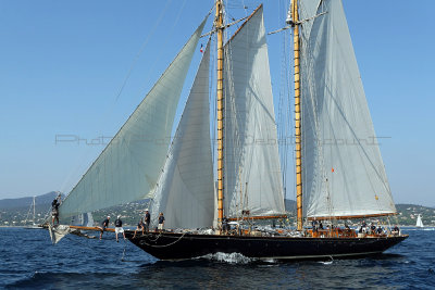 1168 Voiles de Saint-Tropez 2011 - MK3_5848_DxO format WEB.jpg