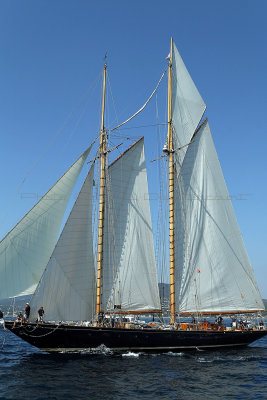 1170 Voiles de Saint-Tropez 2011 - MK3_5850_DxO format WEB.jpg