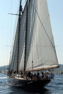 1172 Voiles de Saint-Tropez 2011 - MK3_5852_DxO format WEB.jpg