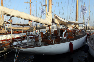 933 Voiles de Saint-Tropez 2011 - IMG_2865_DxO format WEB.jpg