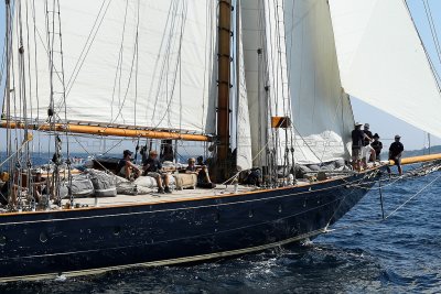 1184 Voiles de Saint-Tropez 2011 - MK3_5857_DxO format WEB.jpg