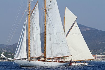 1196 Voiles de Saint-Tropez 2011 - IMG_3073_DxO format WEB.jpg