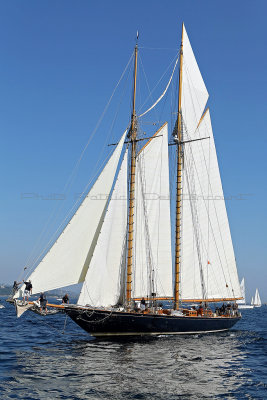 1214 Voiles de Saint-Tropez 2011 - MK3_5865_DxO format WEB.jpg