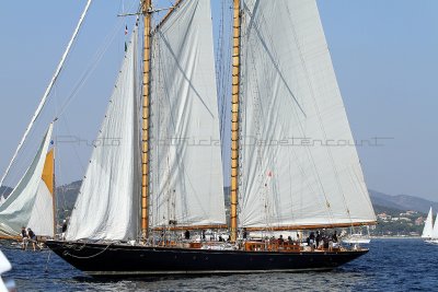 1246 Voiles de Saint-Tropez 2011 - IMG_3108_DxO format WEB.jpg