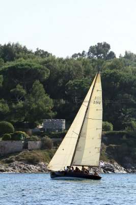 1316 Voiles de Saint-Tropez 2011 - IMG_3162_DxO format WEB.jpg