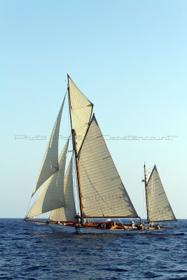 1320 Voiles de Saint-Tropez 2011 - IMG_3166_DxO format WEB.jpg