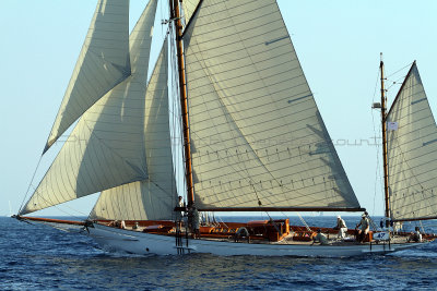 1322 Voiles de Saint-Tropez 2011 - IMG_3168_DxO format WEB.jpg