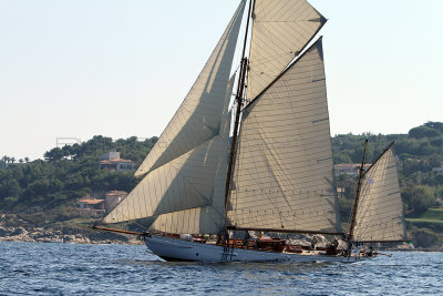 1334 Voiles de Saint-Tropez 2011 - IMG_3180_DxO format WEB.jpg