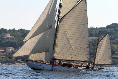 1335 Voiles de Saint-Tropez 2011 - IMG_3181_DxO format WEB.jpg