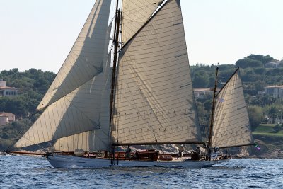 1336 Voiles de Saint-Tropez 2011 - IMG_3182_DxO format WEB.jpg