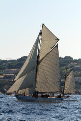 1339 Voiles de Saint-Tropez 2011 - IMG_3185_DxO format WEB.jpg