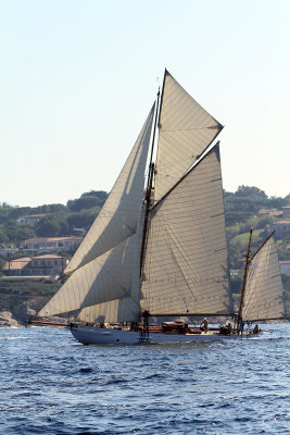 1340 Voiles de Saint-Tropez 2011 - IMG_3186_DxO format WEB.jpg