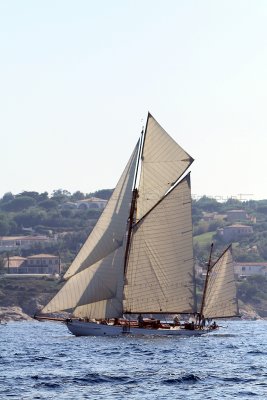 1346 Voiles de Saint-Tropez 2011 - IMG_3192_DxO format WEB.jpg