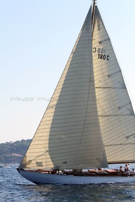 1348 Voiles de Saint-Tropez 2011 - IMG_3194_DxO format WEB.jpg