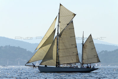 1349 Voiles de Saint-Tropez 2011 - IMG_3195_DxO format WEB.jpg