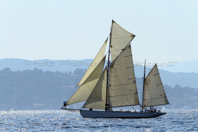 1352 Voiles de Saint-Tropez 2011 - IMG_3198_DxO format WEB.jpg