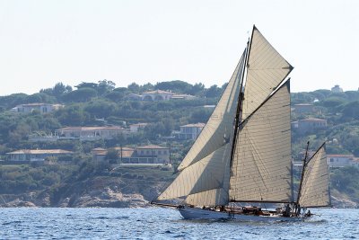 1353 Voiles de Saint-Tropez 2011 - IMG_3199_DxO format WEB.jpg