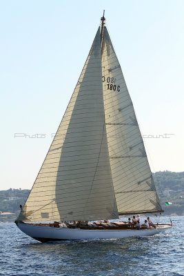 1356 Voiles de Saint-Tropez 2011 - IMG_3202_DxO format WEB.jpg