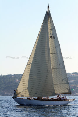 1364 Voiles de Saint-Tropez 2011 - IMG_3210_DxO format WEB.jpg