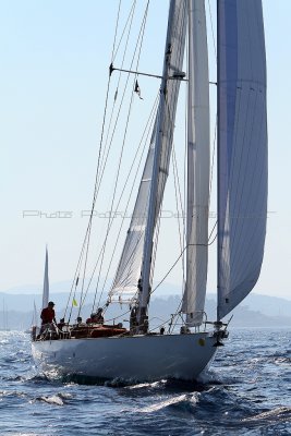 1389 Voiles de Saint-Tropez 2011 - IMG_3235_DxO format WEB.jpg