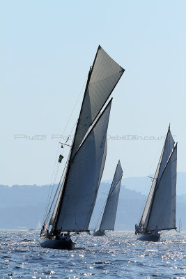 1441 Voiles de Saint-Tropez 2011 - IMG_3262_DxO format WEB.jpg