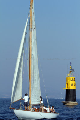 1458 Voiles de Saint-Tropez 2011 - IMG_3279_DxO format WEB.jpg