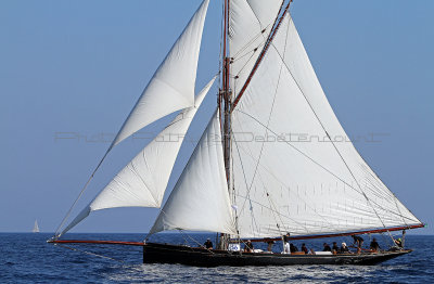 1460 Voiles de Saint-Tropez 2011 - IMG_3281_DxO format WEB.jpg