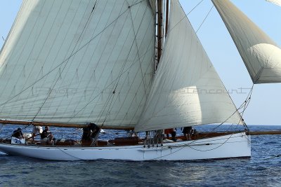 1461 Voiles de Saint-Tropez 2011 - IMG_3282_DxO format WEB.jpg