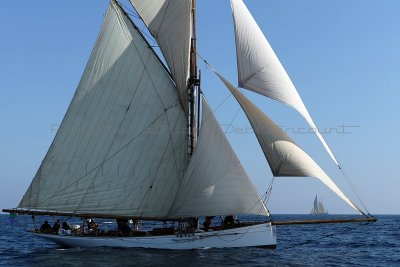 1462 Voiles de Saint-Tropez 2011 - MK3_5916_DxO format WEB.jpg