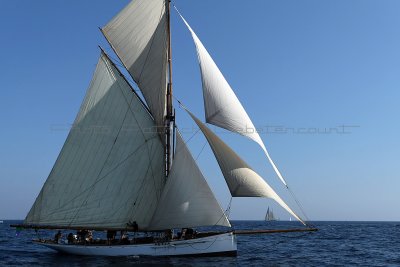 1464 Voiles de Saint-Tropez 2011 - MK3_5918_DxO format WEB.jpg