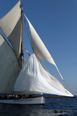 1477 Voiles de Saint-Tropez 2011 - MK3_5929_DxO format WEB.jpg