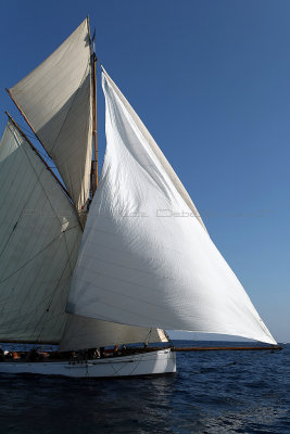 1484 Voiles de Saint-Tropez 2011 - MK3_5936_DxO format WEB.jpg