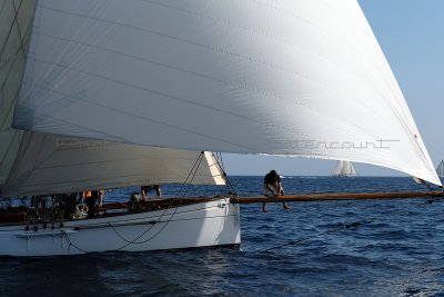 1485 Voiles de Saint-Tropez 2011 - MK3_5937_DxO format WEB.jpg