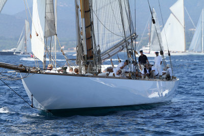 1136 Voiles de Saint-Tropez 2011 - IMG_3026_DxO format WEB.jpg