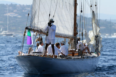 1264 Voiles de Saint-Tropez 2011 - IMG_3126_DxO format WEB.jpg