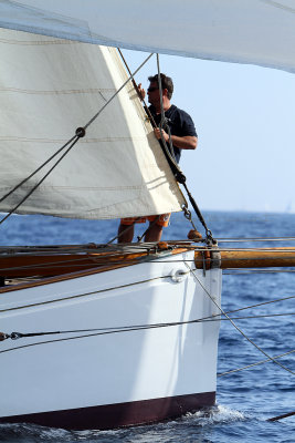 1512 Voiles de Saint-Tropez 2011 - IMG_3311_DxO format WEB.jpg