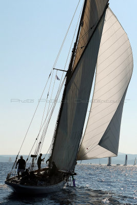 1519 Voiles de Saint-Tropez 2011 - MK3_5942_DxO format WEB.jpg