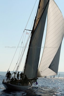 1520 Voiles de Saint-Tropez 2011 - MK3_5943_DxO format WEB.jpg