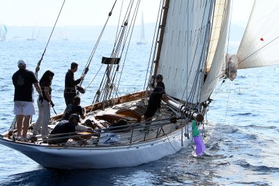 1522 Voiles de Saint-Tropez 2011 - IMG_3314_DxO format WEB.jpg