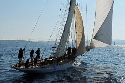 1526 Voiles de Saint-Tropez 2011 - MK3_5948_DxO format WEB.jpg