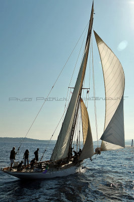 1527 Voiles de Saint-Tropez 2011 - MK3_5949_DxO format WEB.jpg