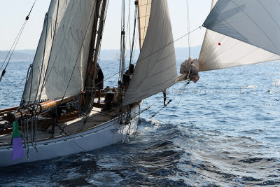 1533 Voiles de Saint-Tropez 2011 - MK3_5955_DxO format WEB.jpg