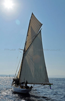 1537 Voiles de Saint-Tropez 2011 - MK3_5959_DxO format WEB.jpg